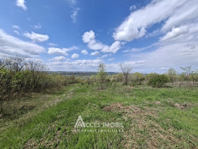 Сельскохозяйственный земельный участок 24 соток! Бубуечь!: 4