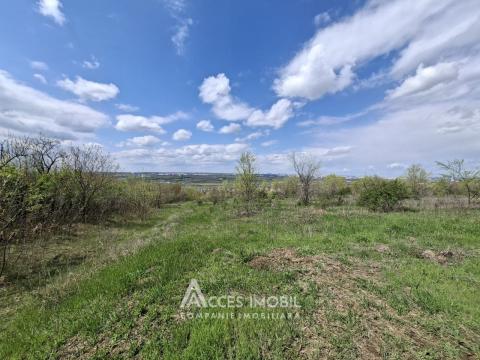 Сельскохозяйственный земельный участок 24 соток! Бубуечь!: 4