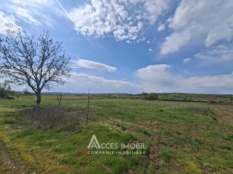 Земля сельскохозяйственного назначения 50 соток! село Бык, ул. Грэдинарилор!: 0