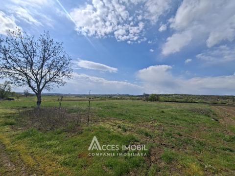 Продажа земельных участков в Кишиневе: Бык, ул. Грэдинарилор