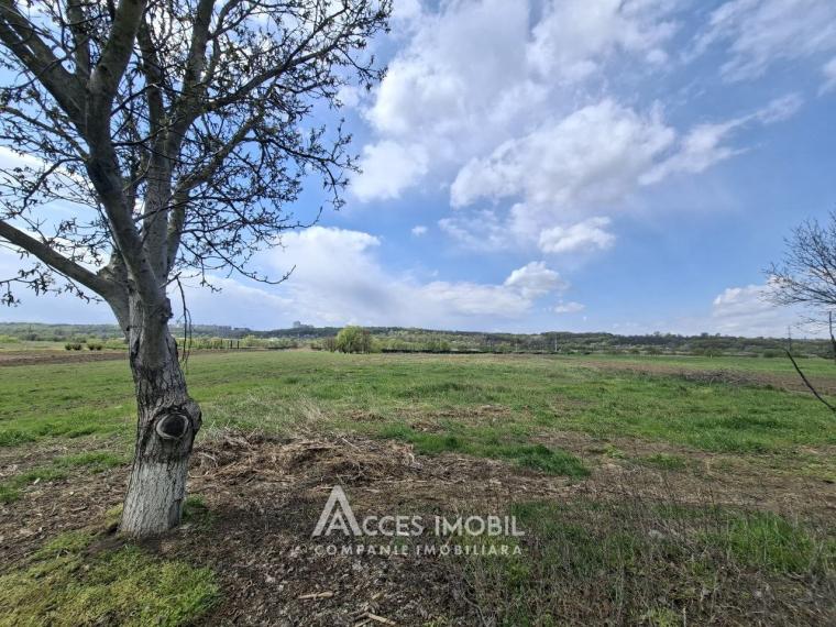 Земля сельскохозяйственного назначения 50 соток! село Бык, ул. Грэдинарилор!: 1