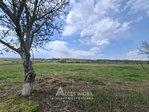 Земля сельскохозяйственного назначения 50 соток! село Бык, ул. Грэдинарилор!: 1