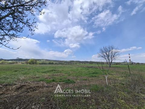 Земля сельскохозяйственного назначения 50 соток! село Бык, ул. Грэдинарилор!: 2