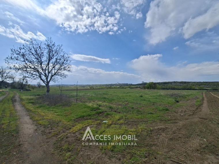 Земля сельскохозяйственного назначения 50 соток! село Бык, ул. Грэдинарилор!: 3