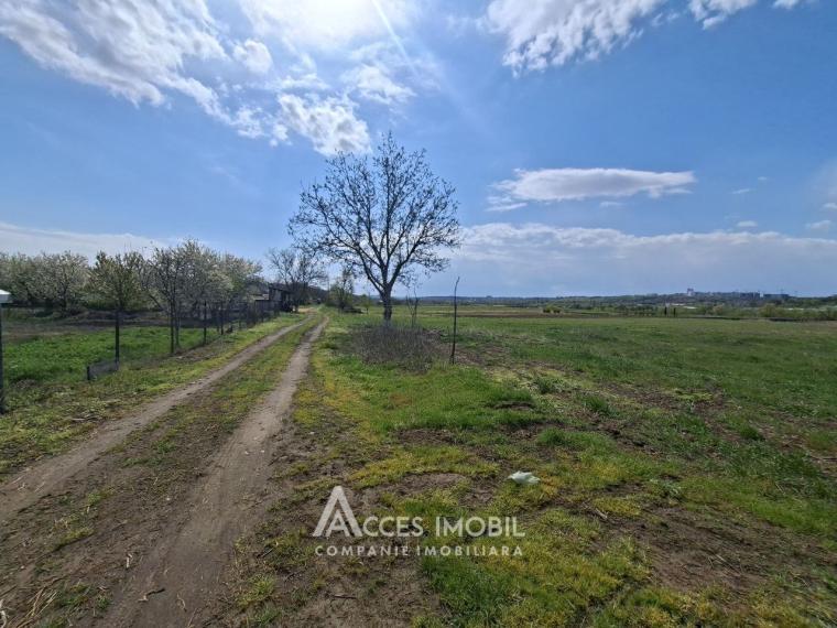 Земля сельскохозяйственного назначения 50 соток! село Бык, ул. Грэдинарилор!: 4