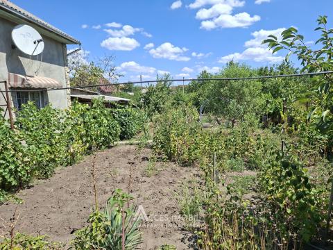 Villa on 2 levels, 67m2 + 12 acres! Sîngera, IP Negnic!: 11