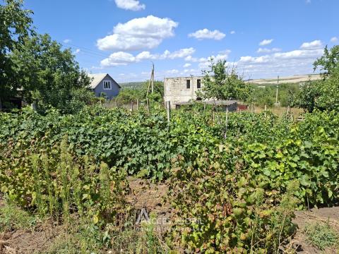 Villa on 2 levels, 67m2 + 12 acres! Sîngera, IP Negnic!: 13