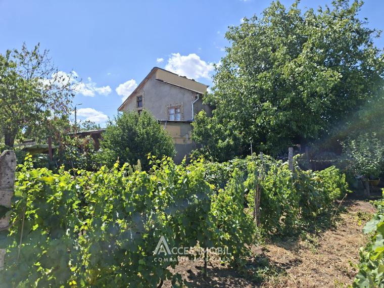 Villa on 2 levels, 67m2 + 12 acres! Sîngera, IP Negnic!: 14