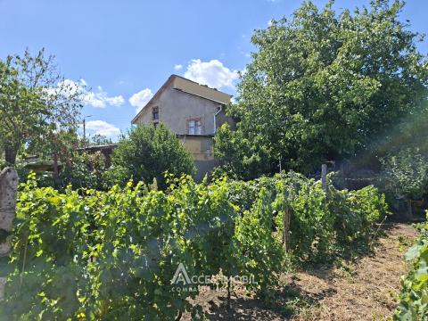 Villa on 2 levels, 67m2 + 12 acres! Sîngera, IP Negnic!: 14