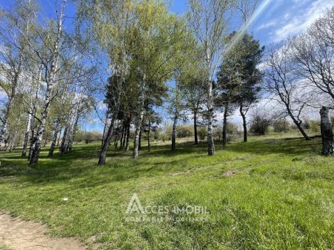 : Strășeni str. Olimp