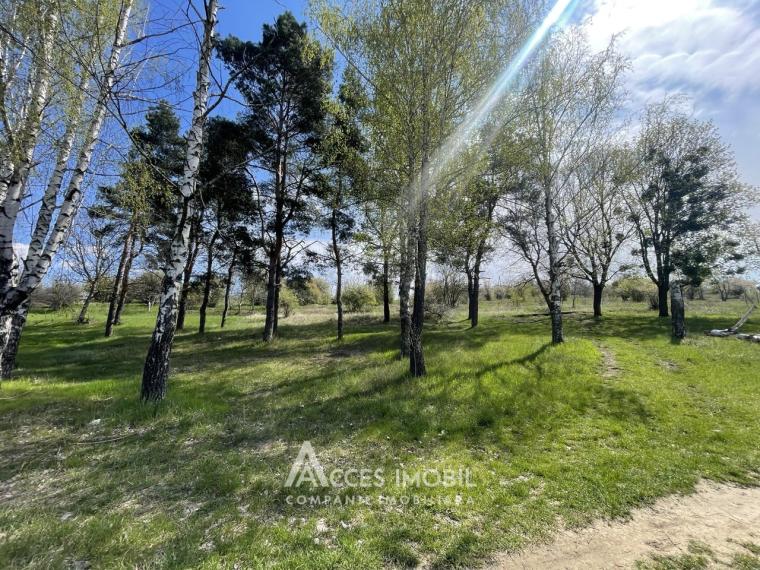 Teren pentru construcții 6 ari! str. Olimp!: 2