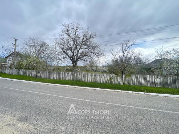 Teren pentru construcție 8 ari! satul Căpriana, Strășeni!: 0