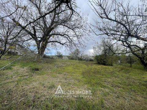 Teren pentru construcție 8 ari! satul Căpriana, Strășeni!: 3