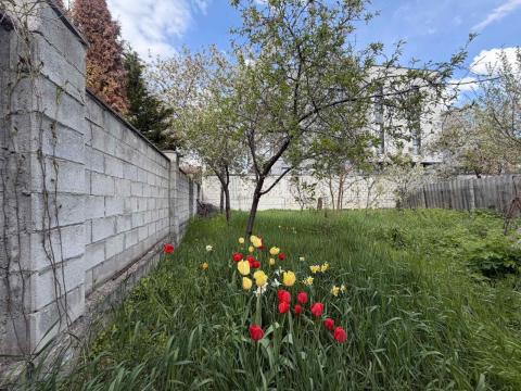 Chirie! Casă! str. Universității, Centru, 2 camere + 4  ari. Încălzire autonomă!: 17