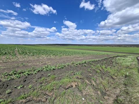 Lot of agricultural land, 27 ares. Outside the city, Colonita!: 1