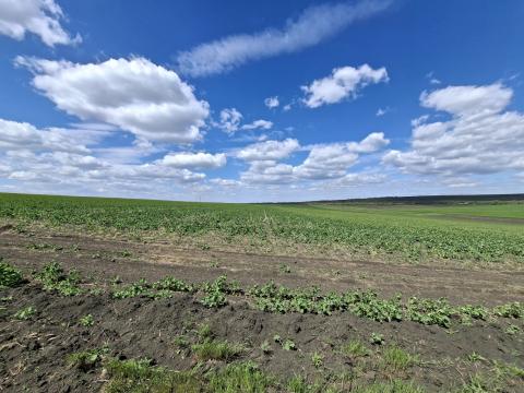 Продажа земельных участков в Кишиневе: Колоница