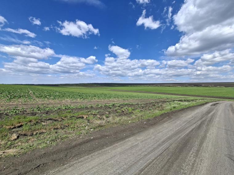 Lot of agricultural land, 27 ares. Outside the city, Colonita!: 2