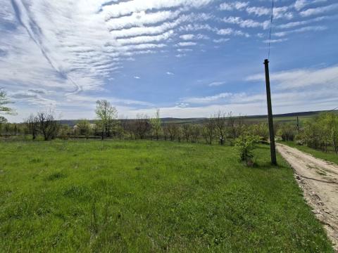 Земельный участок под строительство 12 соток, Бошкана, ул. Каля Басарабией!: 1