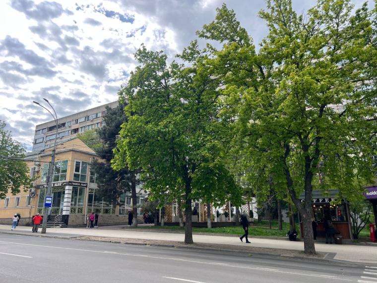 УльтраЦентр, ул. Митрополит Банулеску Бодони, 3 комнаты + гостиная. Панорамный вид!: 13