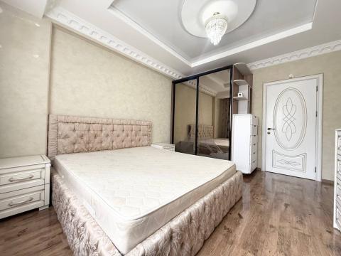 Apartments for rent in Chisinau: Center, Albisoara street