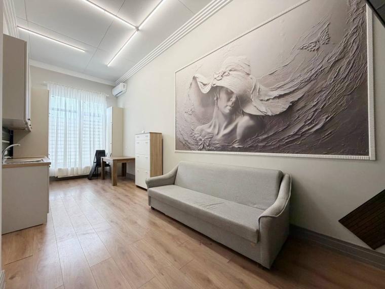 Chirie! Bloc Nou! Centru, str. Cojocarilor, 1 cameră + living! Euroreparație!: 5