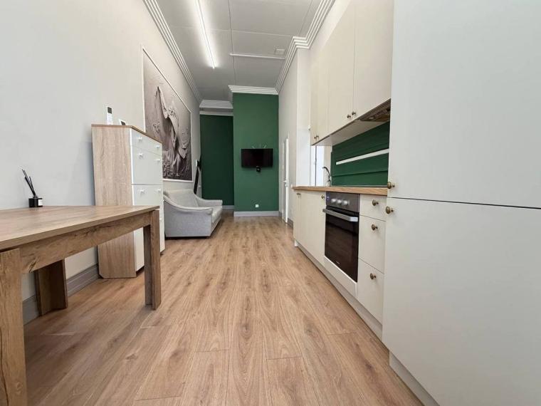 Chirie! Bloc Nou! Centru, str. Cojocarilor, 1 cameră + living! Euroreparație!: 8