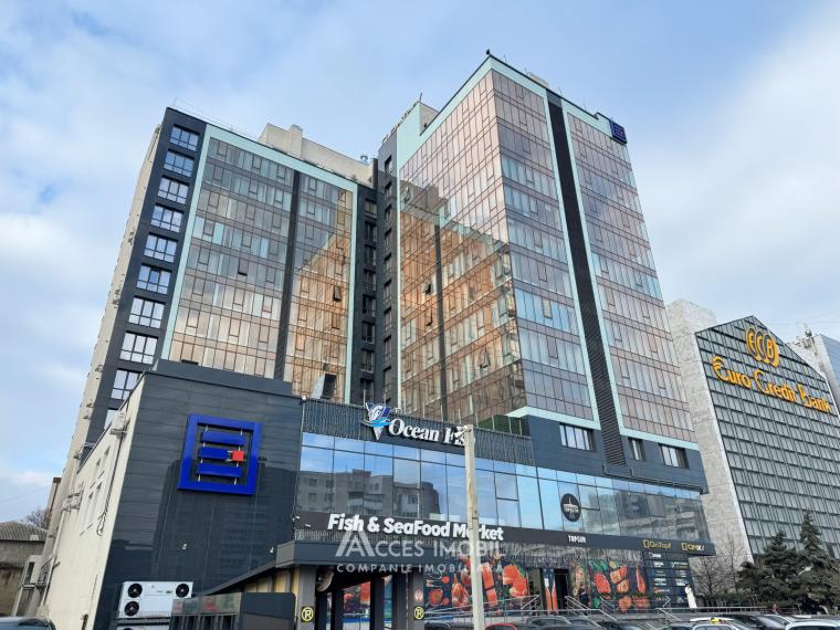 Chirie! Bloc Nou! str. Ismail, Centru, 2 camere + living. Reparație premium!: 14