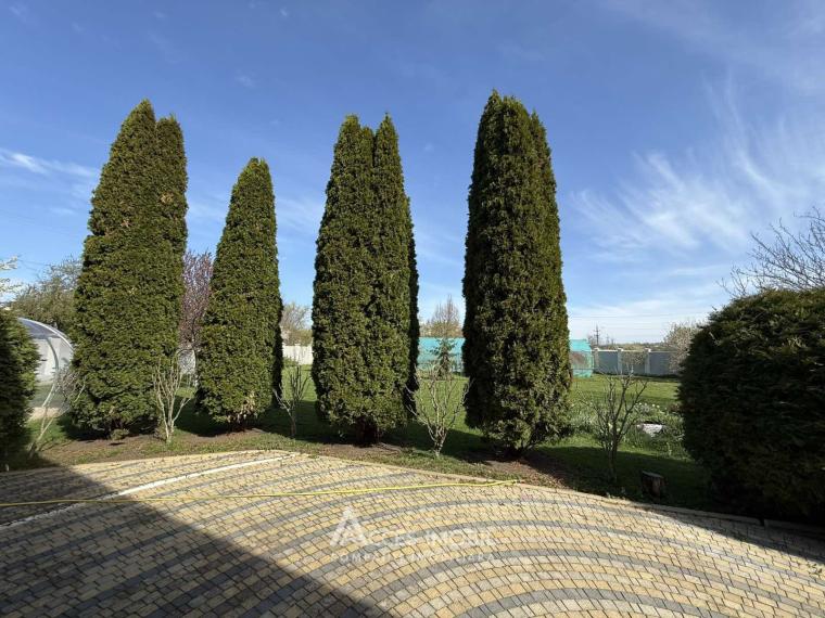 Casă în 2 nivele! Cricova, str. Fructifera, 180m2 + 19 ari. Euroreparație!: 31