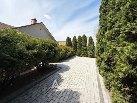 Chirie! Casă în 3 niveluri! Centru, str. Timiș, 230m2 + 4 ari. Euroreparație!: 17