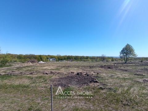 Продажа земельных участков в Кишиневе: Дурлешты, ул. Кодрилор