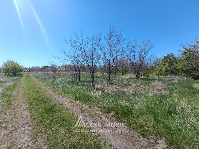 Земельный участок под строительство 13соток! пер. Кодрилор, Дурлешты!: 2