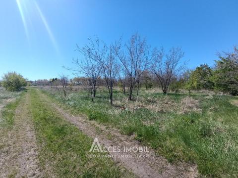 Земельный участок под строительство 13соток! пер. Кодрилор, Дурлешты!: 2