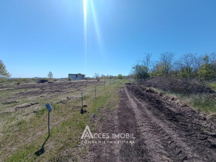 Земельный участок под строительство 13соток! пер. Кодрилор, Дурлешты!: 3