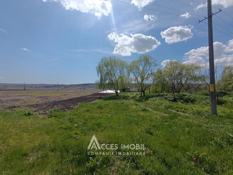 Земельный участок сельскохозяйственного назначения 100 соток! Бачой, ул. Индепенденцей!: 0