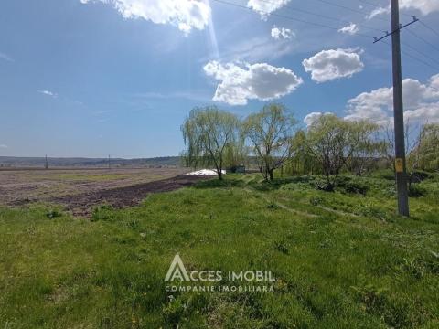 Продажа земельных участков в Кишиневе: Бачой, ул. Индепенденцей!