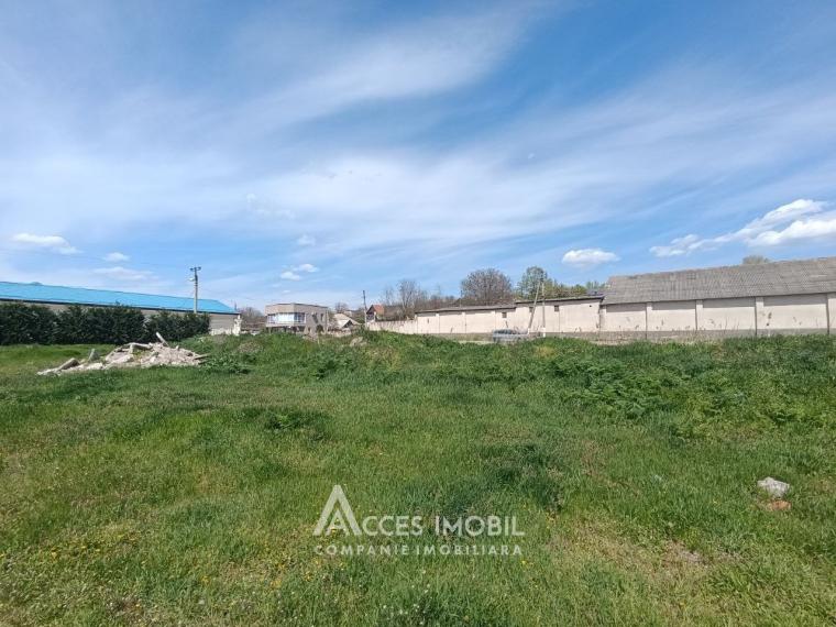 Земельный участок сельскохозяйственного назначения 100 соток! Бачой, ул. Индепенденцей!: 1