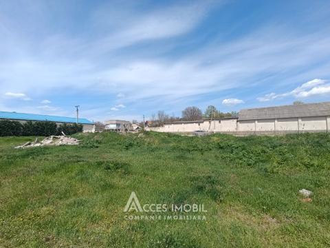 Земельный участок сельскохозяйственного назначения 100 соток! Бачой, ул. Индепенденцей!: 1