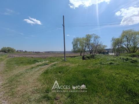 Земельный участок сельскохозяйственного назначения 100 соток! Бачой, ул. Индепенденцей!: 2