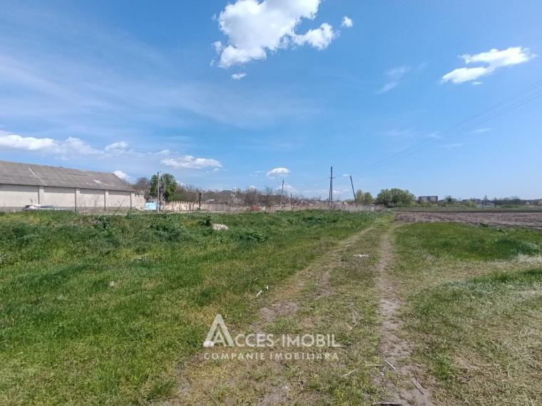 Земельный участок сельскохозяйственного назначения 100 соток! Бачой, ул. Индепенденцей!: 3