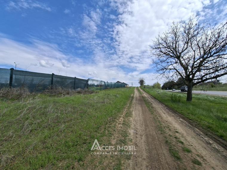 Земельный участок под строительство, 10 соток! Будешты, ул. Хумулешти!: 8