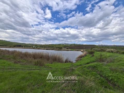 Продажа земельных участков в Кишиневе: Колоница