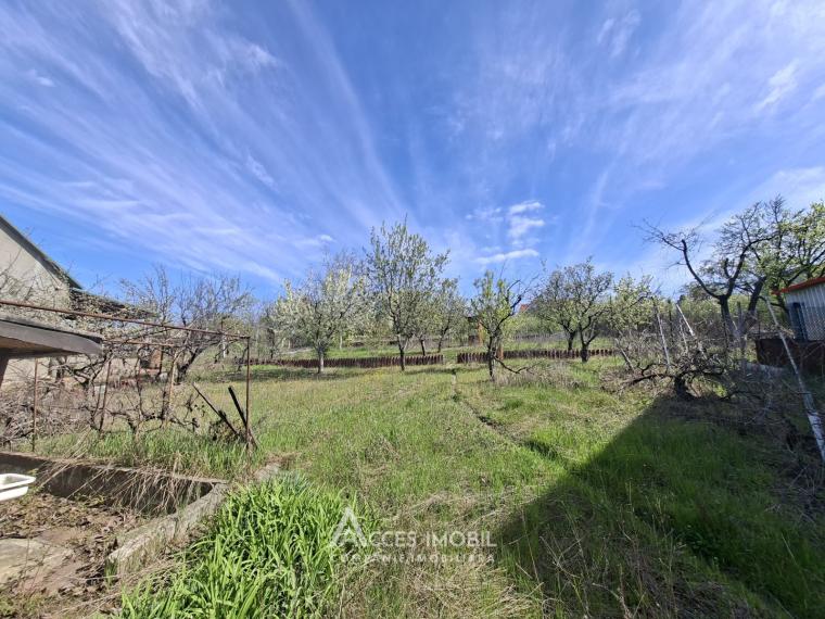 Lot de teren pomicol 6 ari, Tohatin!: 0