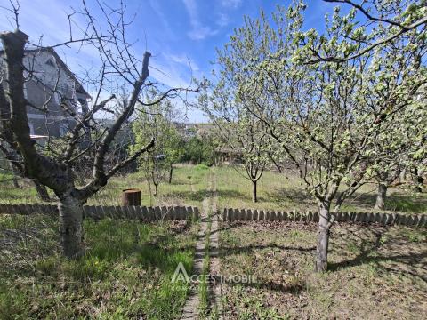 Lot de teren pomicol 6 ari, Tohatin!: 1