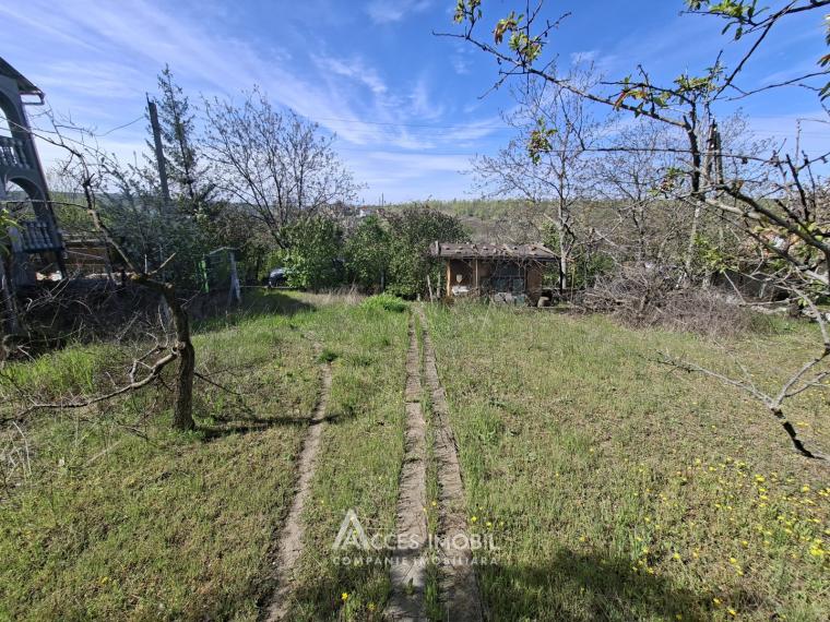 Lot de teren pomicol 6 ari, Tohatin!: 2