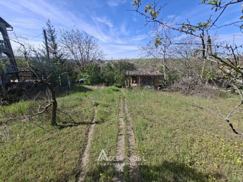 Lot de teren pomicol 6 ari, Tohatin!: 2