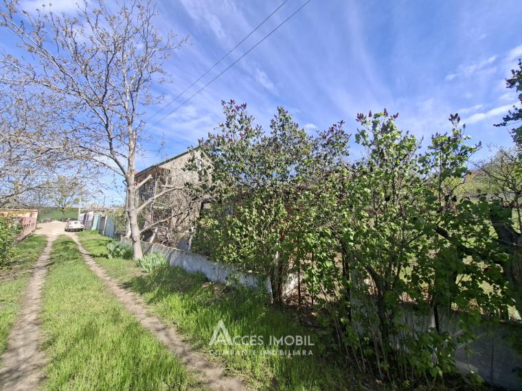 Lot de teren pomicol 6 ari, Tohatin!: 3