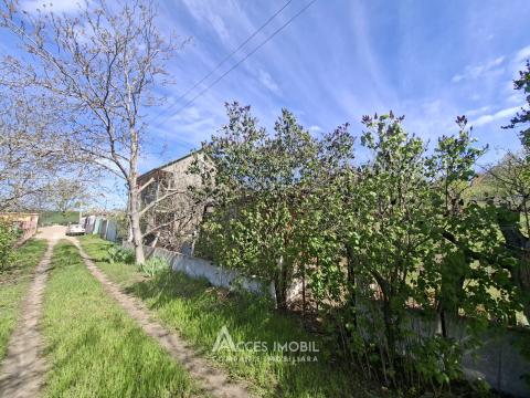 Lot de teren pomicol 6 ari, Tohatin!: 3