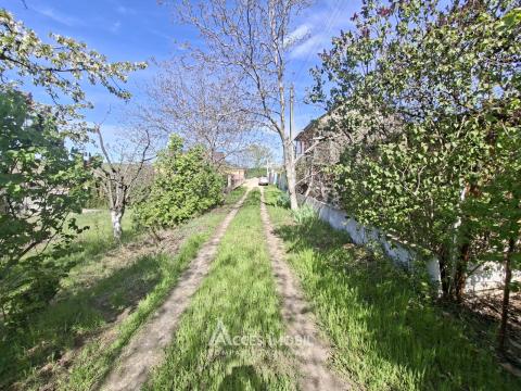 Lot de teren pomicol 6 ari, Tohatin!: 4