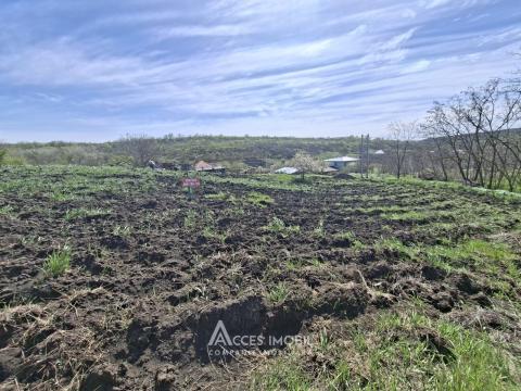 Сельскохозяйственный земельный участок 6 соток!  Бунец, ИП!: 1