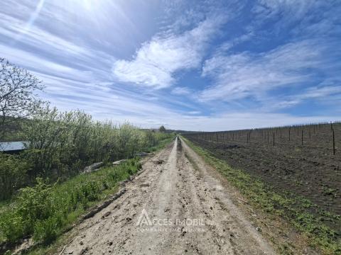 Сельскохозяйственный земельный участок 6 соток!  Бунец, ИП!: 5